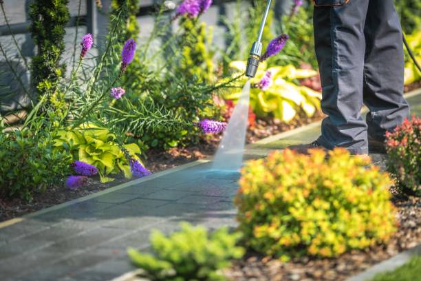 Best Spring Cleaning  in Chipley, FL